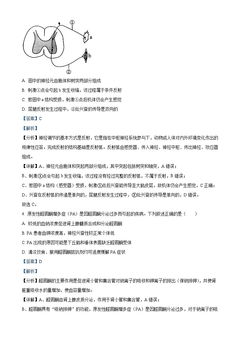 江苏省镇江市2023-2024学年高二下学期期中生物试卷（原卷版+解析版）03