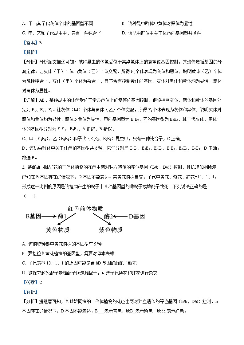 山东省聊城市2023-2024学年高一下学期4月期中生物试题（原卷版+解析版）02