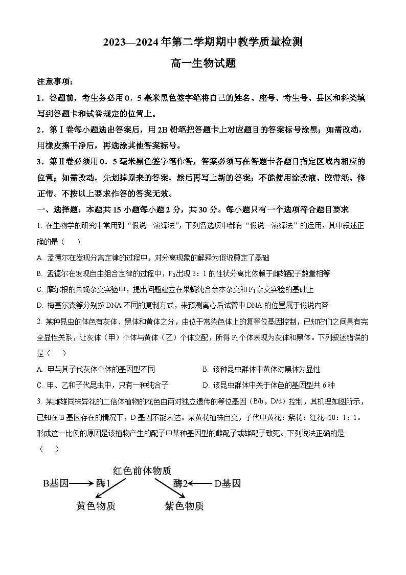 山东省聊城市2023-2024学年高一下学期4月期中生物试题（原卷版+解析版）01