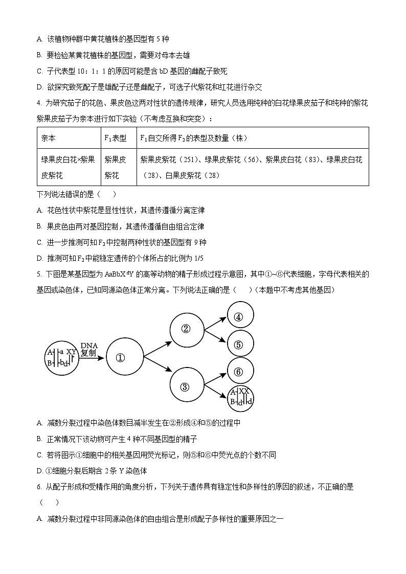 山东省聊城市2023-2024学年高一下学期4月期中生物试题（原卷版+解析版）02