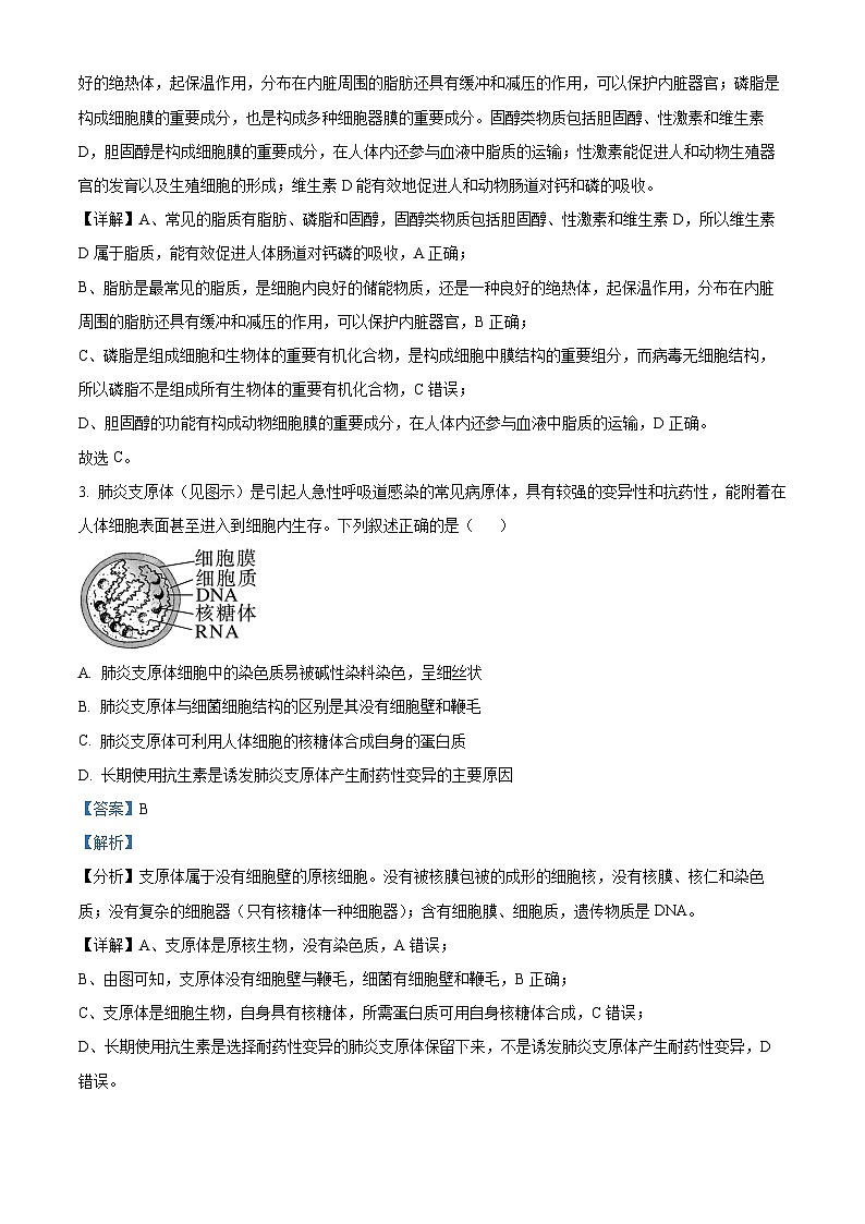 四川省成都市外国语学校2023-2024学年高二下学期期中考试生物试题（解析版）第2页