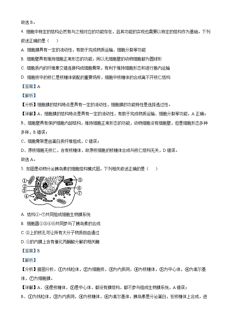 四川省成都市外国语学校2023-2024学年高二下学期期中考试生物试题（解析版）第3页