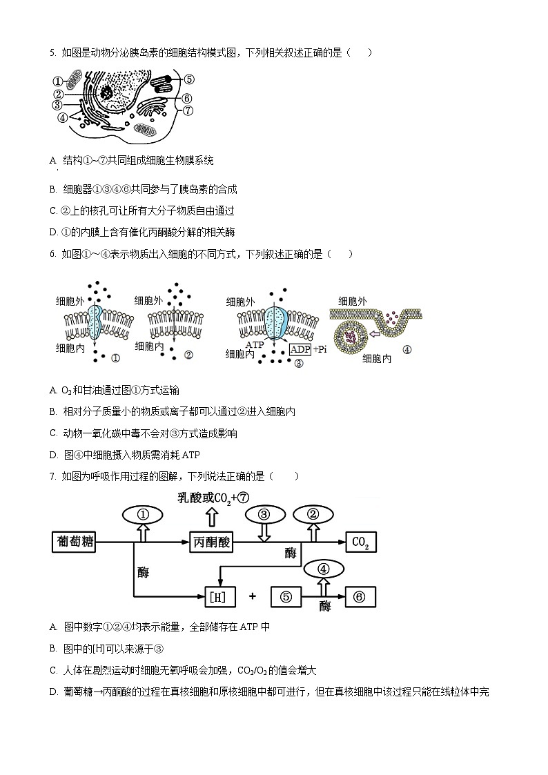 四川省成都市外国语学校2023-2024学年高二下学期期中考试生物试题（原卷版）第2页