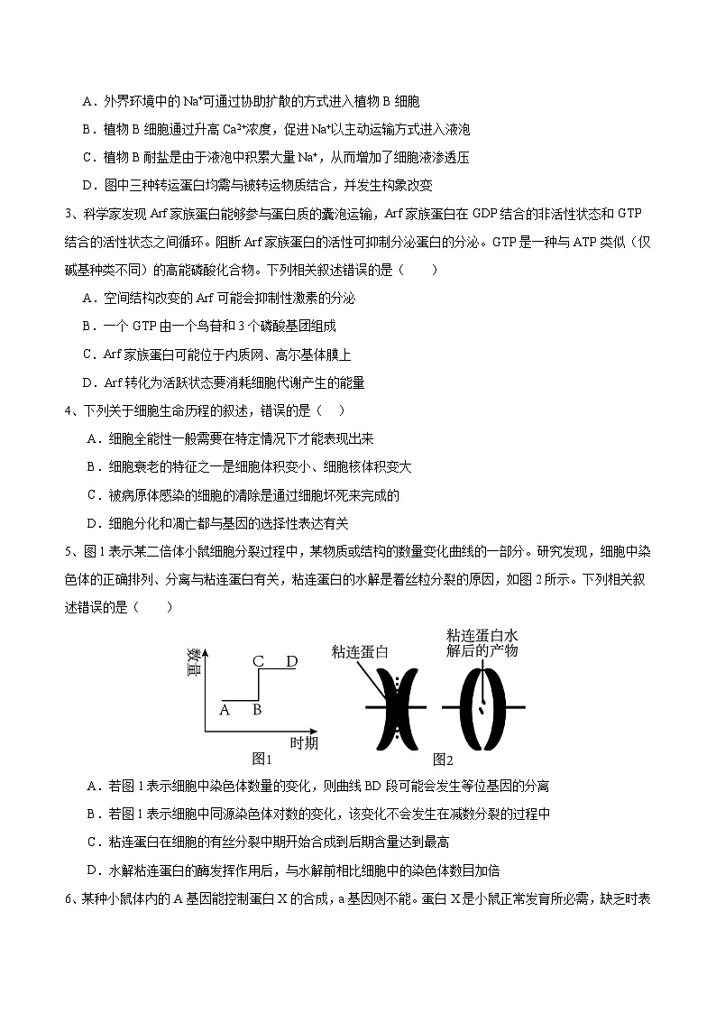 2024年高考押题预测卷—生物（安徽卷01）（考试版）第2页
