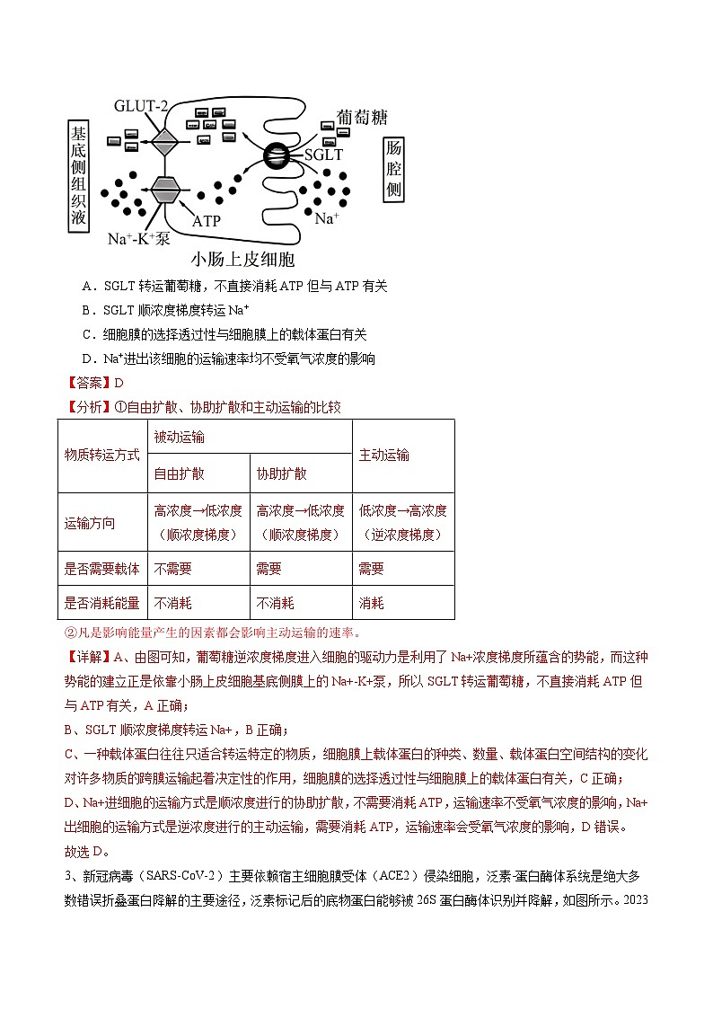 2024年高考押题预测卷—生物（安徽卷02）（全解全析）第2页