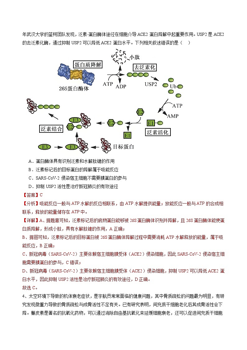 2024年高考押题预测卷—生物（安徽卷02）（全解全析）第3页