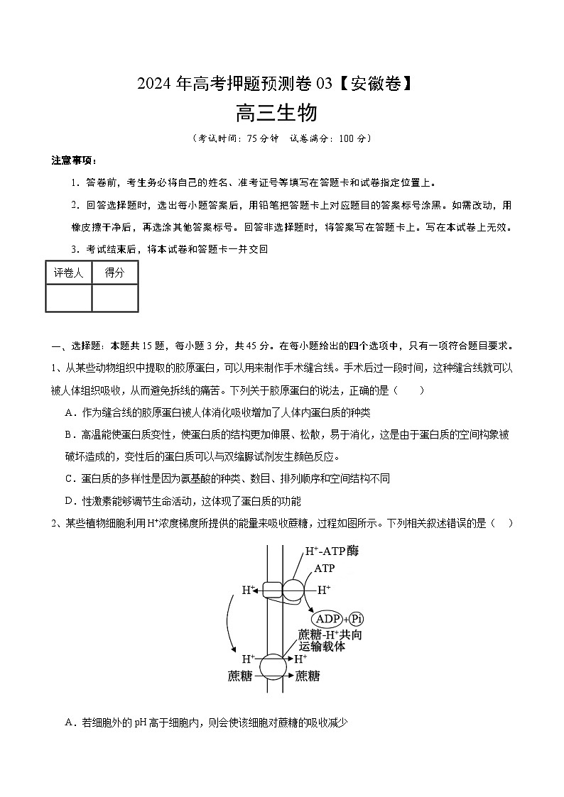 2024年高考押题预测卷—生物（安徽卷03）（考试版）01