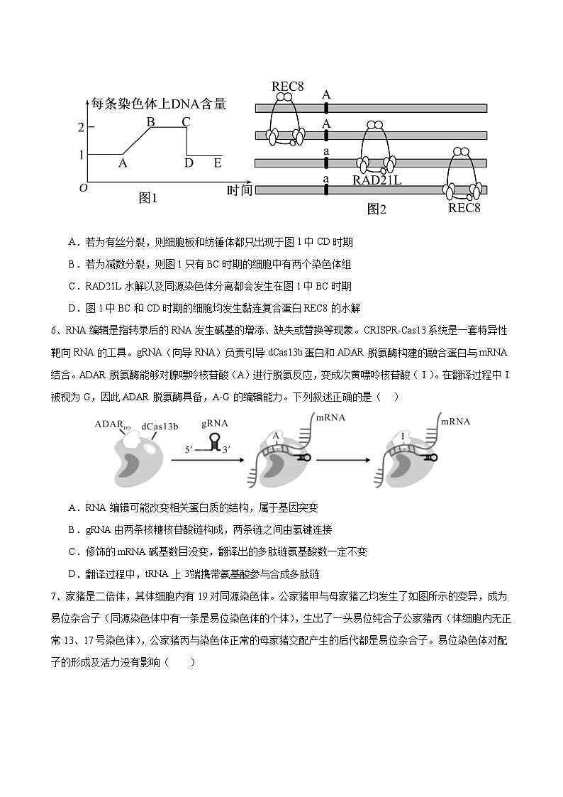 2024年高考押题预测卷—生物（安徽卷03）（考试版）03