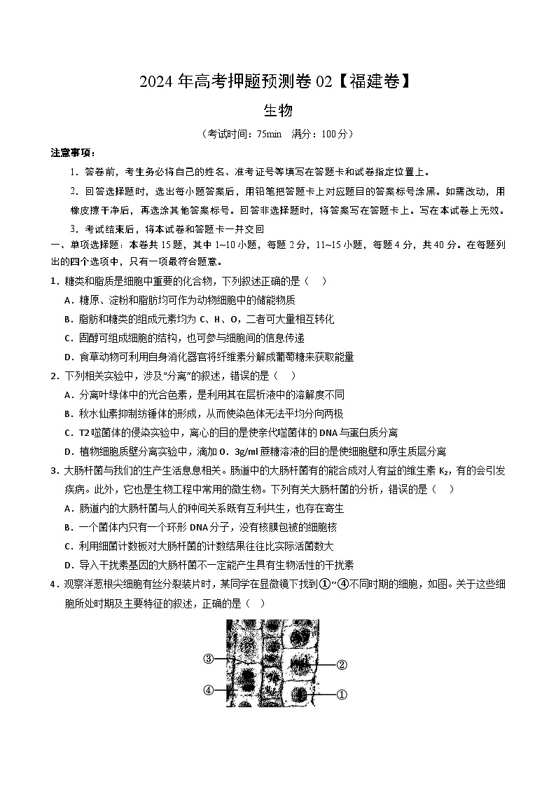 2024年高考押题预测卷—生物（福建卷02）（考试版）第1页