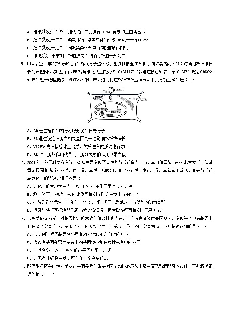 2024年高考押题预测卷—生物（福建卷02）（考试版）第2页