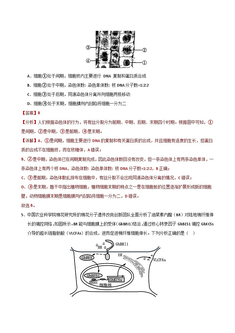2024年高考押题预测卷—生物（福建卷02）（全解全析）03