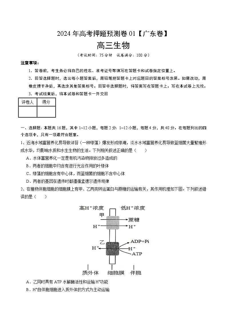 2024年高考押题预测卷—生物（广东卷01）（考试版）01