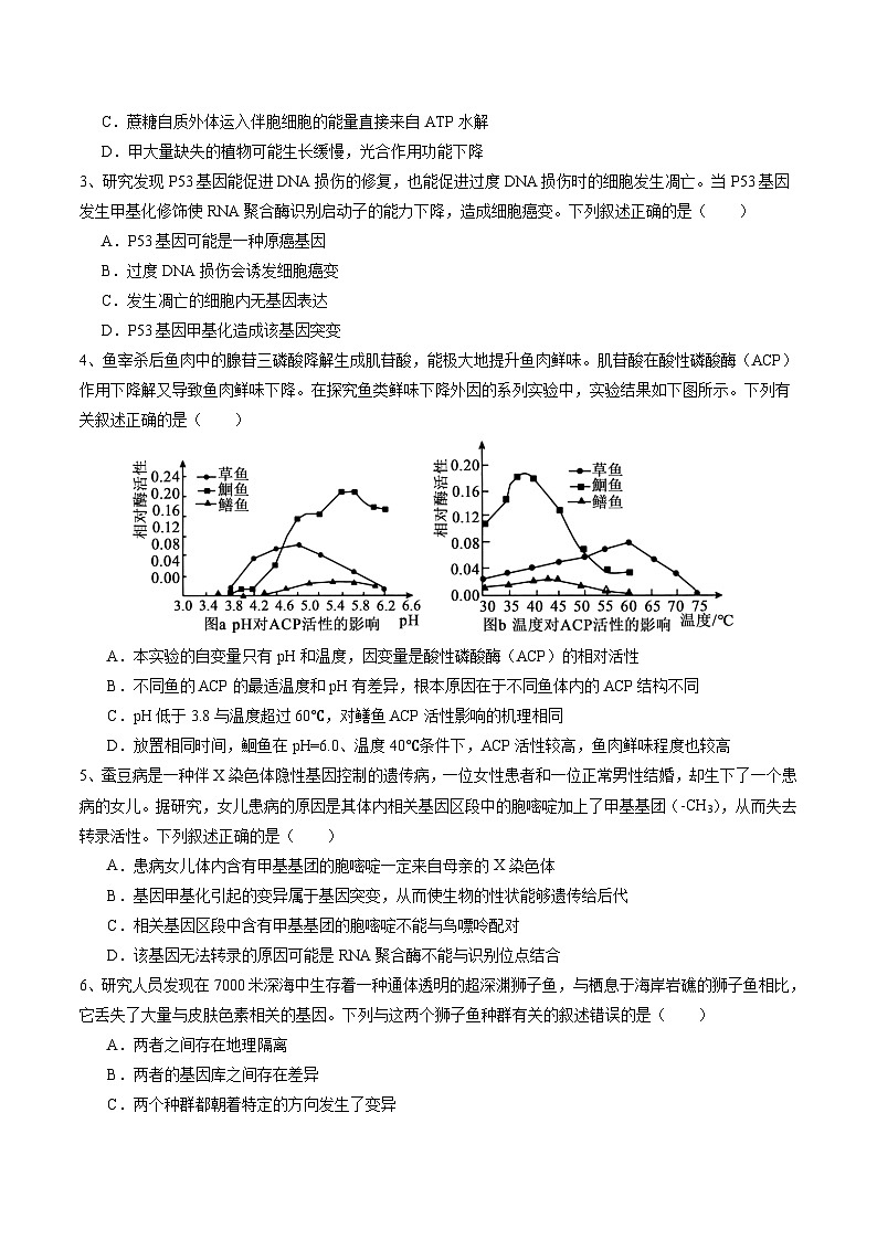 2024年高考押题预测卷—生物（广东卷01）（考试版）02