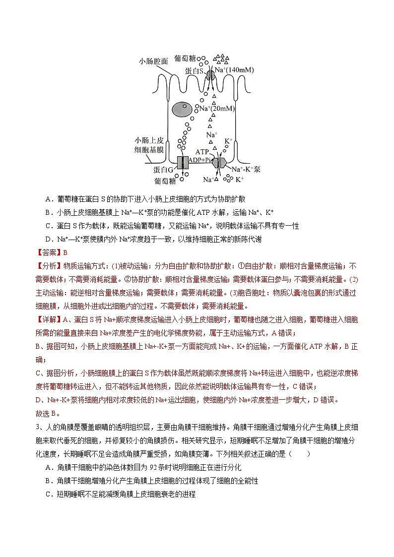 2024年高考押题预测卷—生物（广东卷02）（全解全析）第2页