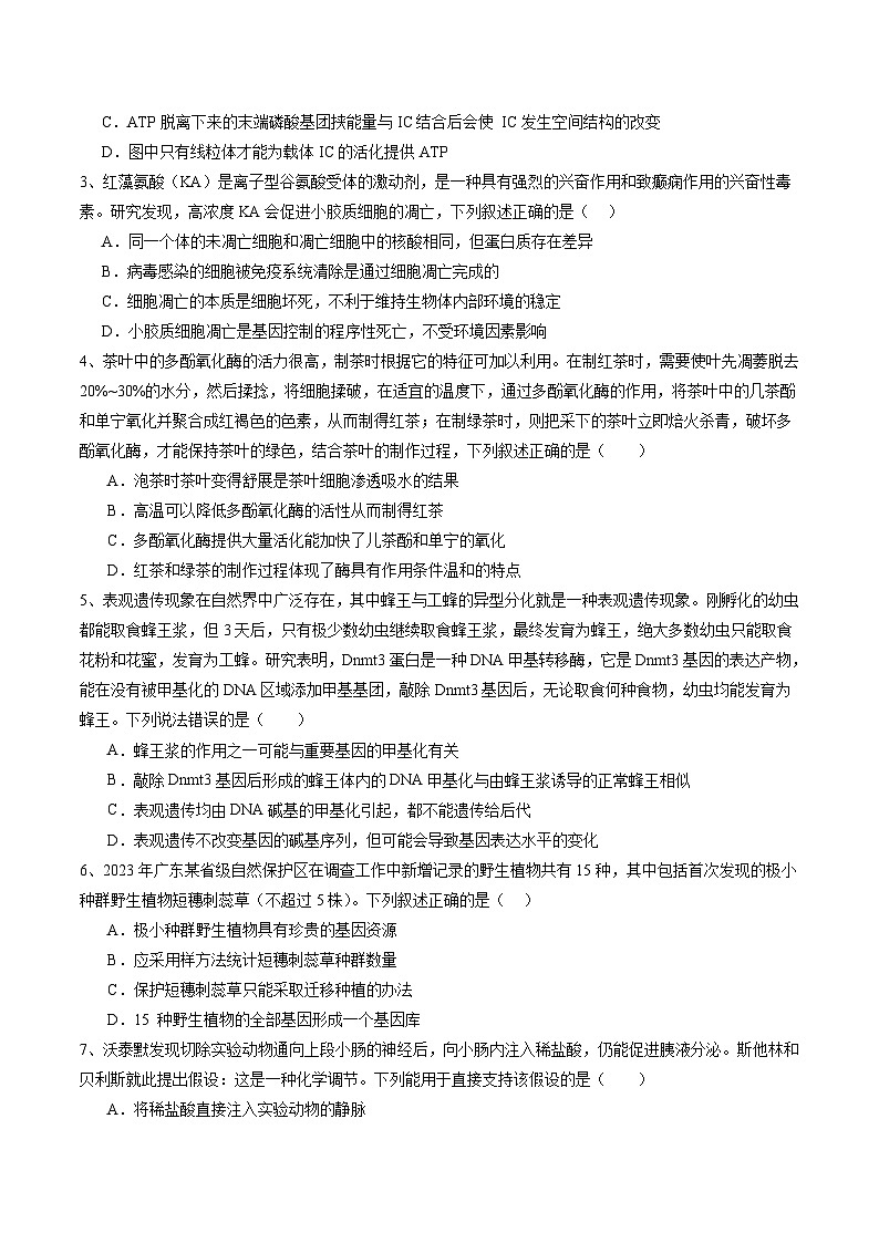 2024年高考押题预测卷—生物（广东卷03）（考试版）第2页