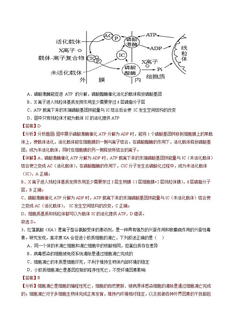 2024年高考押题预测卷—生物（广东卷03）（全解全析）02
