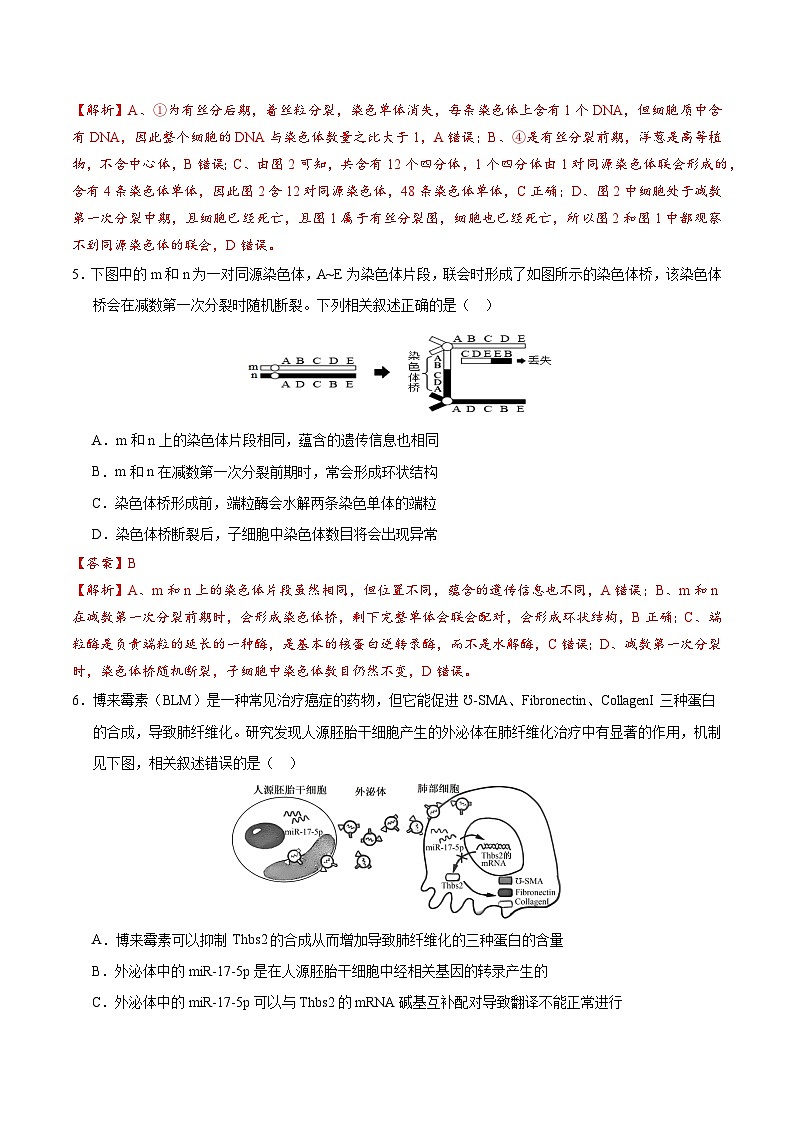 2024年高考押题预测卷—生物（江苏卷02）（全解全析）03
