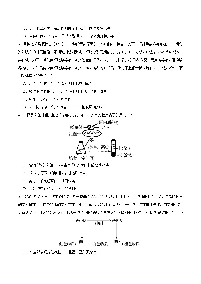 2024年高考押题预测卷—生物（辽宁卷02）（考试版）第2页