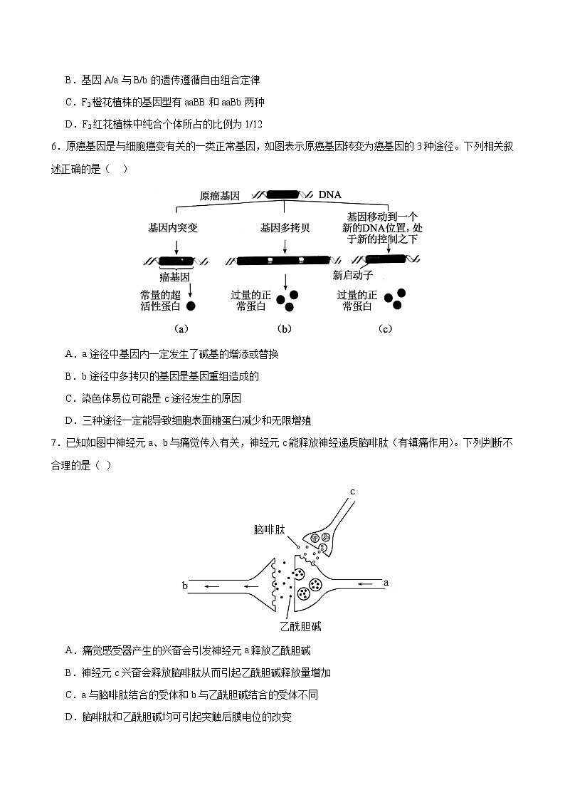 2024年高考押题预测卷—生物（辽宁卷02）（考试版）第3页