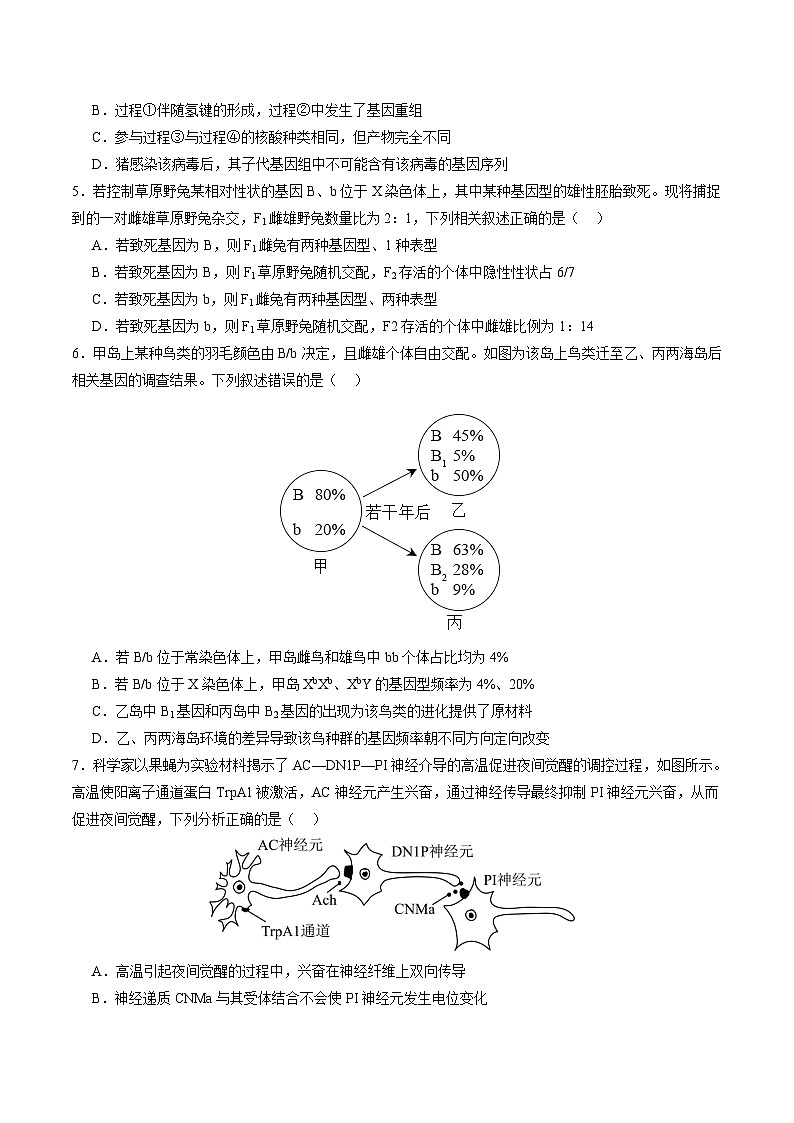 2024年高考押题预测卷—生物（辽宁卷03）（考试版）03
