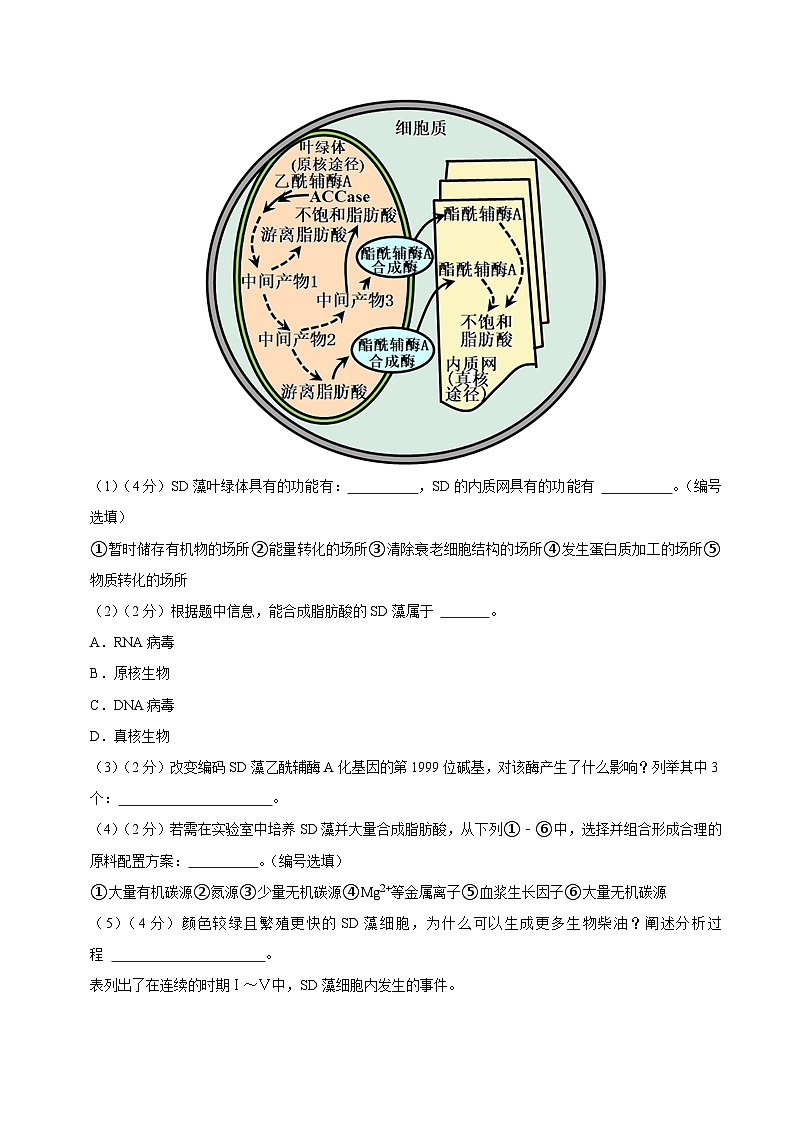 2024年高考押题预测卷—生物（上海卷01）（考试版）第3页