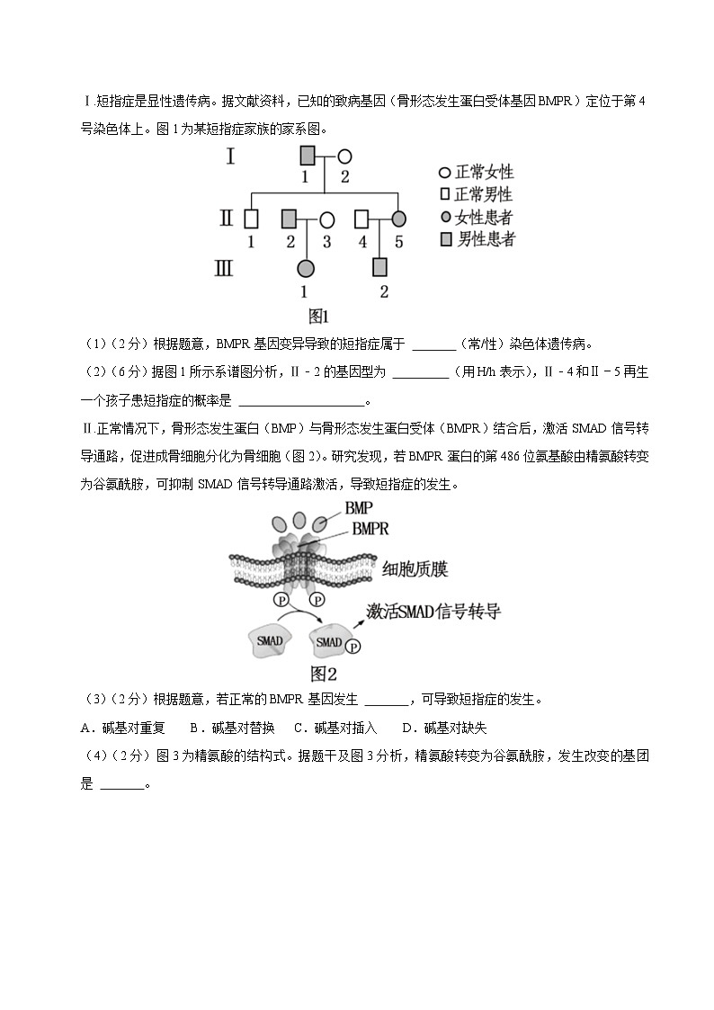2024年高考押题预测卷—生物（上海卷03）（考试版）02