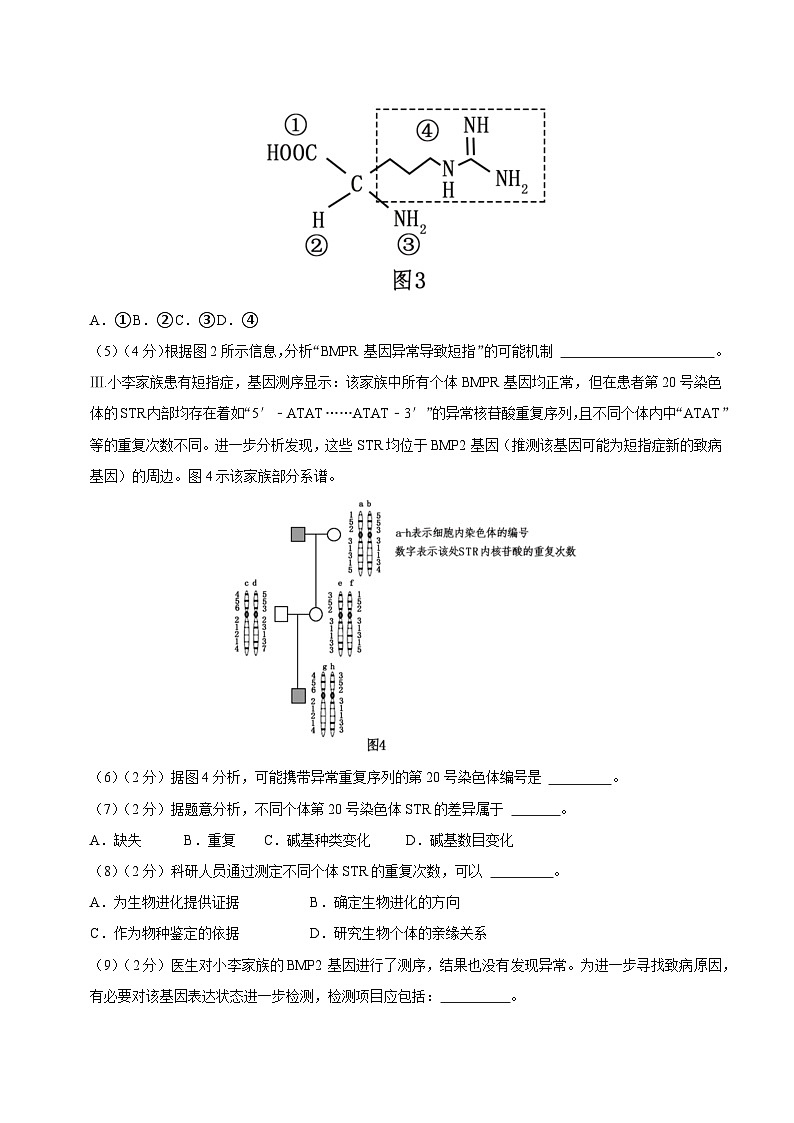 2024年高考押题预测卷—生物（上海卷03）（考试版）03