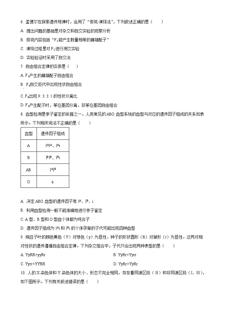 广东省东莞市麻涌中学2023-2024学年高一下学期4月月考生物试题（原卷版+解析版）02