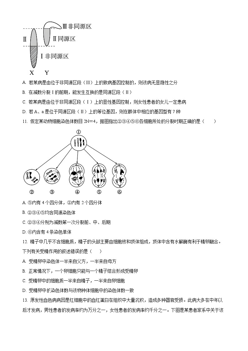 广东省东莞市麻涌中学2023-2024学年高一下学期4月月考生物试题（原卷版+解析版）03