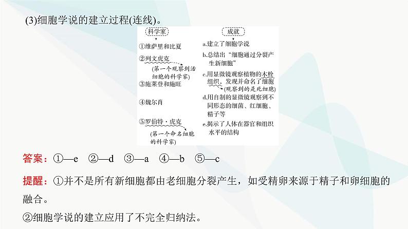 高考生物复习必修一第一单元第一讲走近细胞课件04