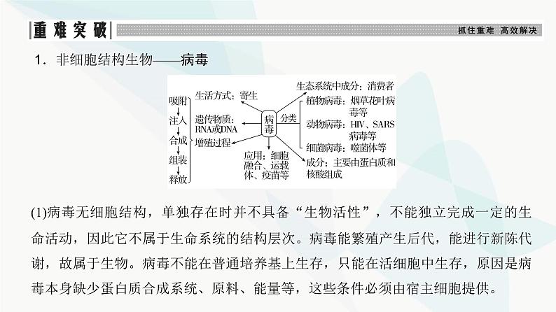 高考生物复习必修一第一单元第一讲走近细胞课件07