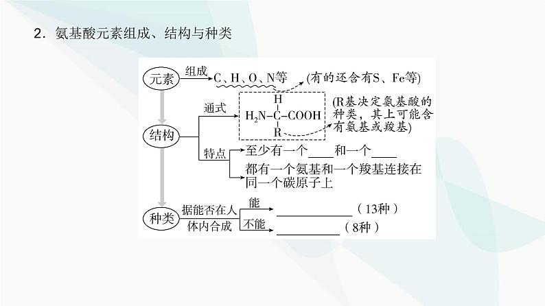 高考生物复习必修一第一单元第三讲蛋白质和核酸课件第4页