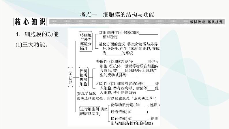 高考生物复习必修一第二单元第四讲细胞膜与细胞核的结构和功能课件03