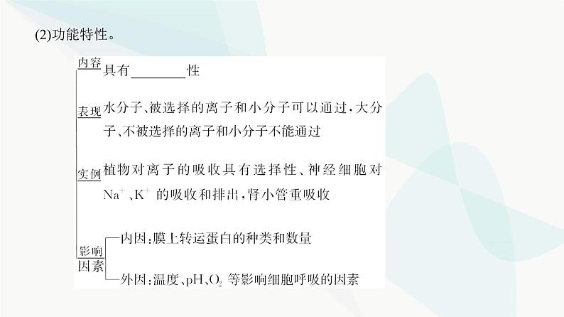 高考生物复习必修一第二单元第四讲细胞膜与细胞核的结构和功能课件04