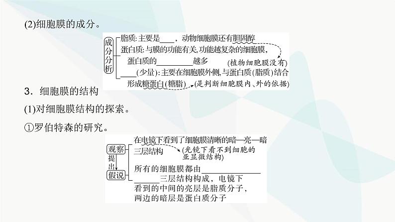 高考生物复习必修一第二单元第四讲细胞膜与细胞核的结构和功能课件07