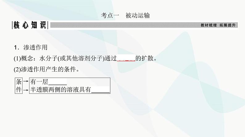 高考生物复习必修一第二单元第六讲细胞的物质输入和输出课件03