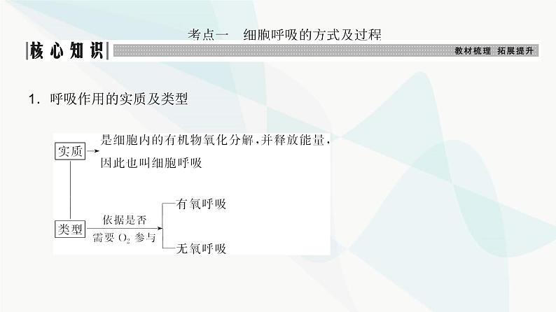 高考生物复习必修一第三单元第八讲细胞呼吸的原理和应用课件第3页