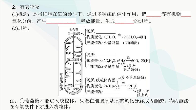 高考生物复习必修一第三单元第八讲细胞呼吸的原理和应用课件第4页