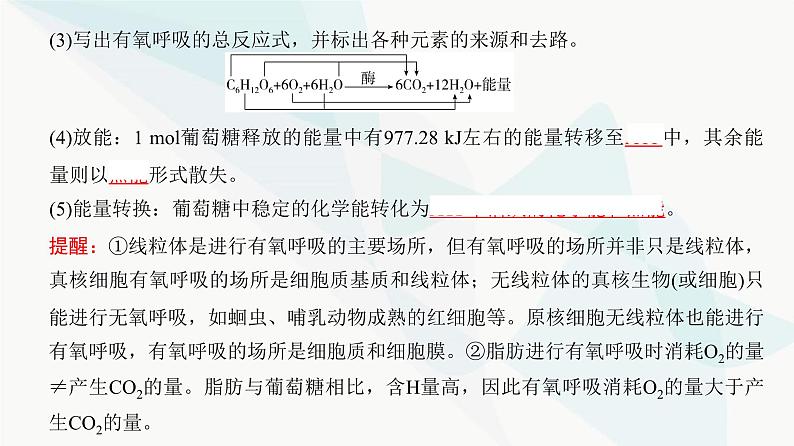 高考生物复习必修一第三单元第八讲细胞呼吸的原理和应用课件第5页