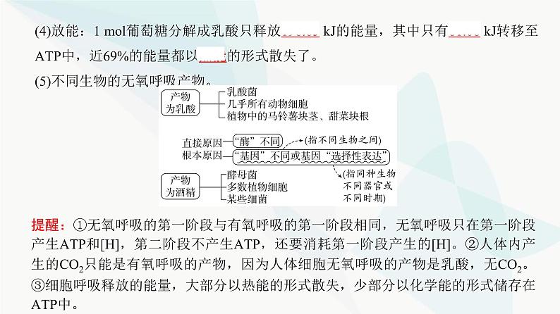 高考生物复习必修一第三单元第八讲细胞呼吸的原理和应用课件第7页