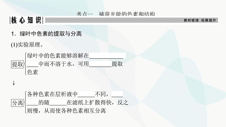 高考生物复习必修一第三单元第九讲光合作用与能量转化课件第3页