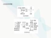 高考生物复习必修一第三单元第九讲光合作用与能量转化课件