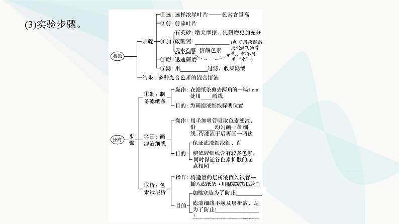 高考生物复习必修一第三单元第九讲光合作用与能量转化课件第5页