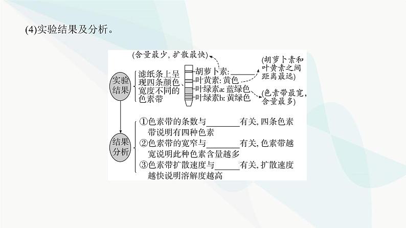 高考生物复习必修一第三单元第九讲光合作用与能量转化课件第6页