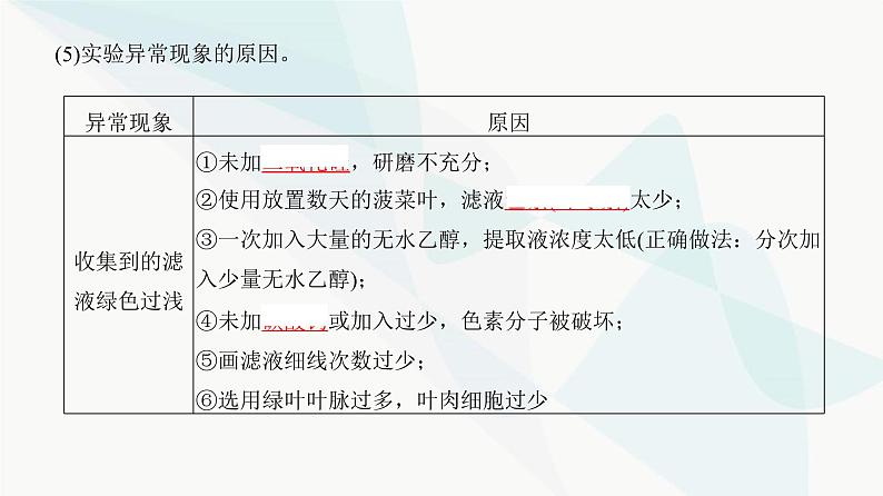 高考生物复习必修一第三单元第九讲光合作用与能量转化课件第7页