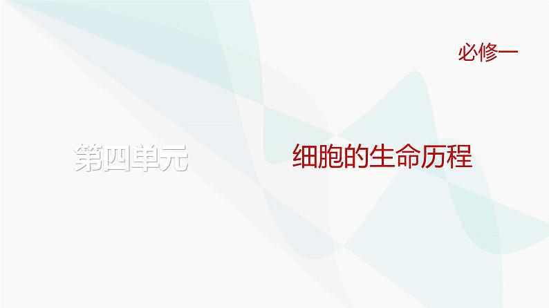 高考生物复习必修一第四单元第十二讲细胞的分化、衰老和死亡课件第1页