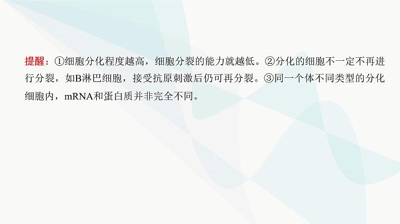 高考生物复习必修一第四单元第十二讲细胞的分化、衰老和死亡课件第4页