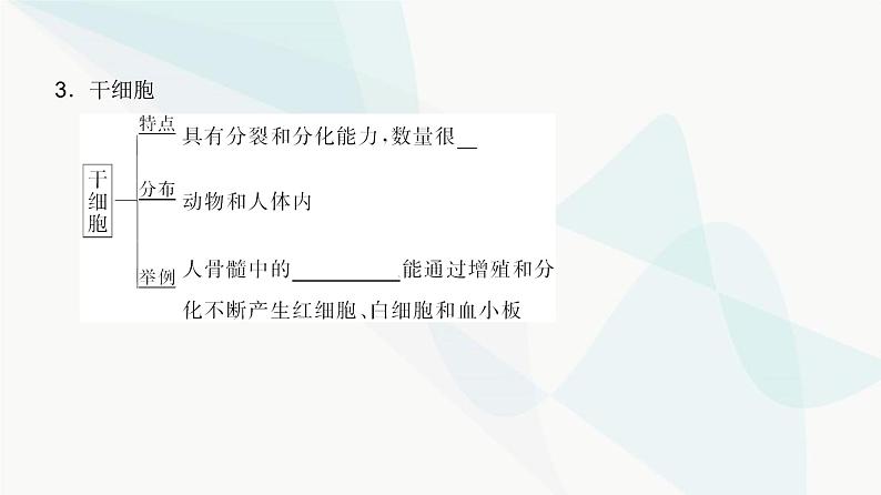 高考生物复习必修一第四单元第十二讲细胞的分化、衰老和死亡课件第6页