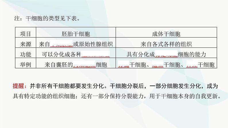 高考生物复习必修一第四单元第十二讲细胞的分化、衰老和死亡课件第7页