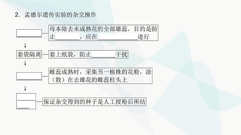 高考生物复习必修二第五单元第十三讲基因的分离定律课件第4页